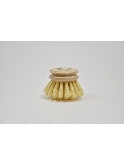 Andrée Jardin Tête à brosse...