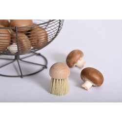 Brosse à Champignons